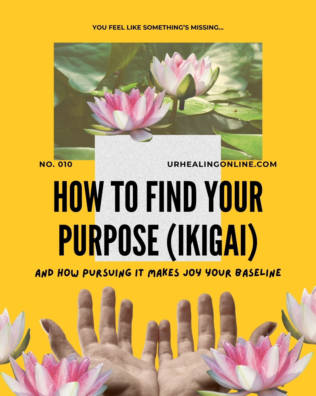 How to Find Your Purpose in Life (Ikigai)