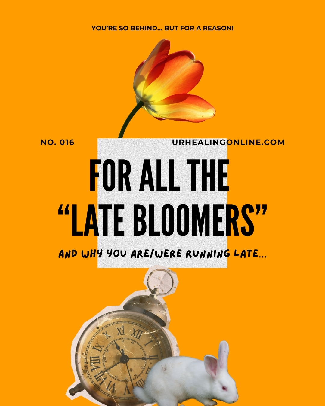 For ALL of the “Late Bloomers” Who Don’t See the Hidden Miracle